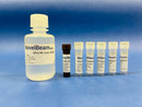 DNA High Sensitivity Quantification Kit